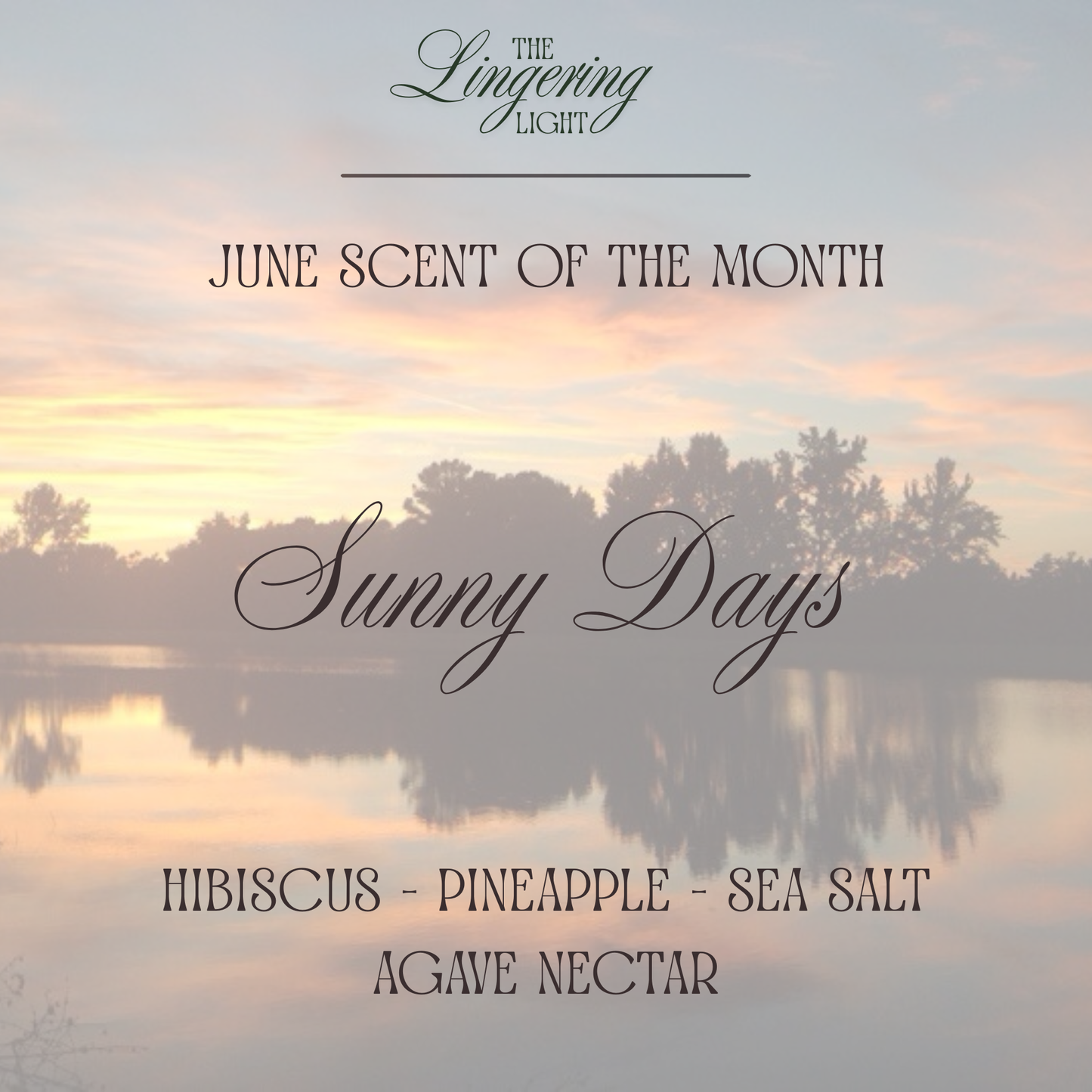 The Lingering Light Candle Box - Monthly Candle Subscription