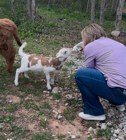 9/16 Candle Making on the Farm